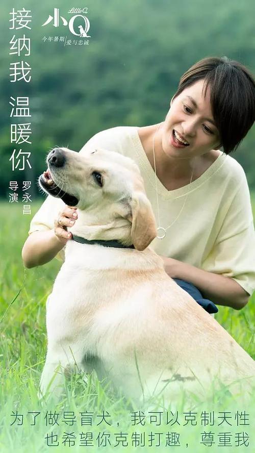 阿姆斯特丹艺术大学学位证购买